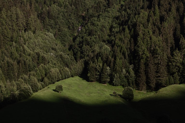 The Art of Slowing Down